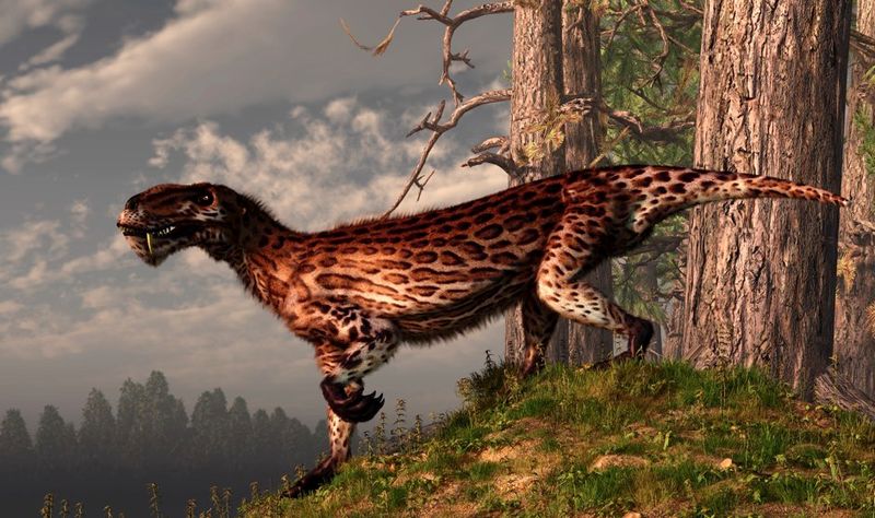 Jaw Transformation Paved The Way For Mammals