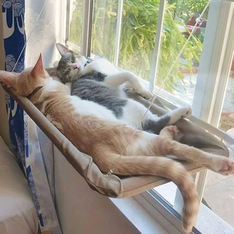 Elevated Resting Spots