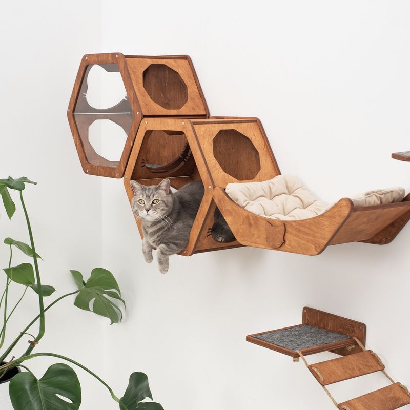 Elevated Resting Spots