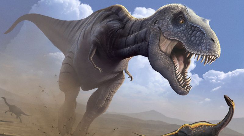 Fast Movers, Not Lumbering Beasts