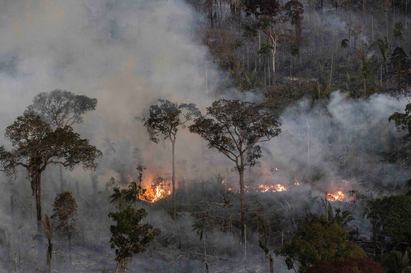 Fire Patterns Likely Shifted
