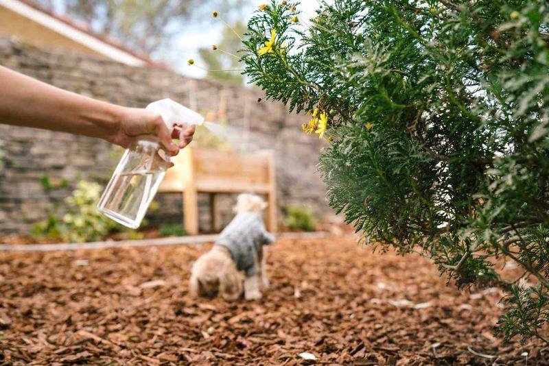Pepper-Based Deterrents Should Be Used Cautiously