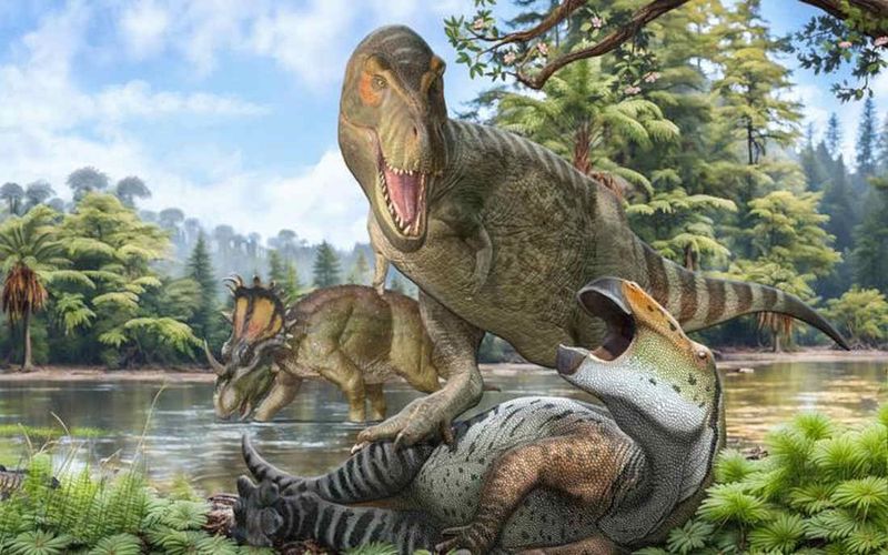 But Others Suspect T. Rex's Roots May Lie Elsewhere