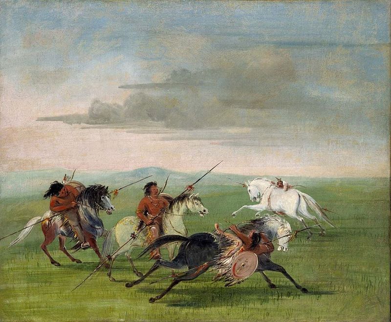 Native American Horse Revolution