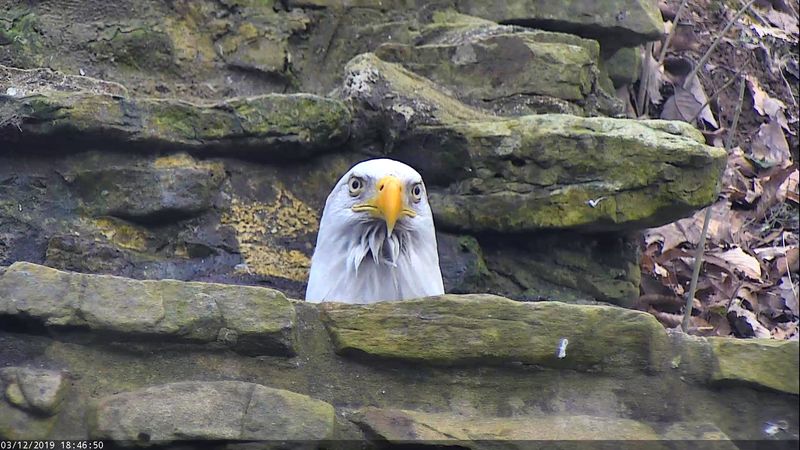 Features A 1.5 Million Cubic Foot Aviary