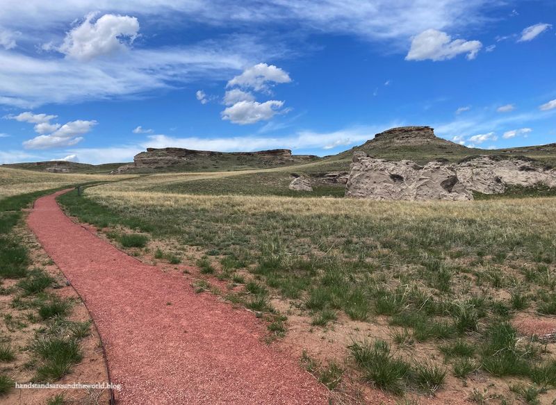 Beaver Bones Found In Nebraska Desert