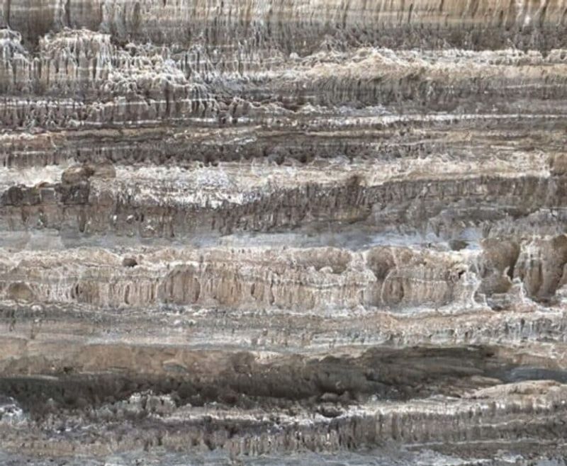 Patterns Discovered In Ancient Limestone And Marble
