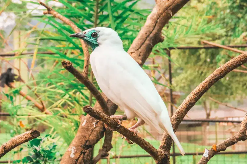 Ecotourism Offers Hope For Protection