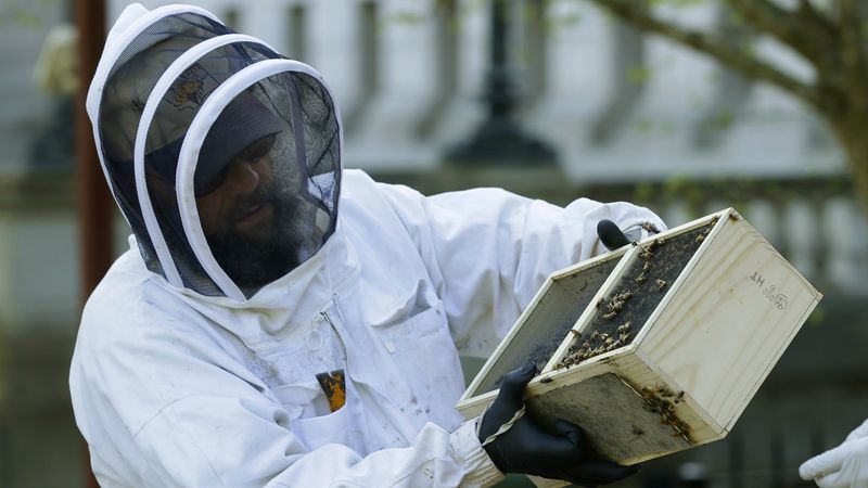 Honey Industry Under Threat