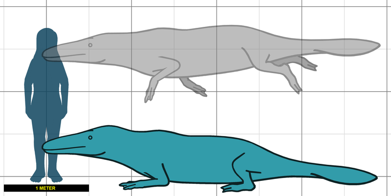 Measuring About 4 Meters Long With Sharp Teeth And A Long Snout