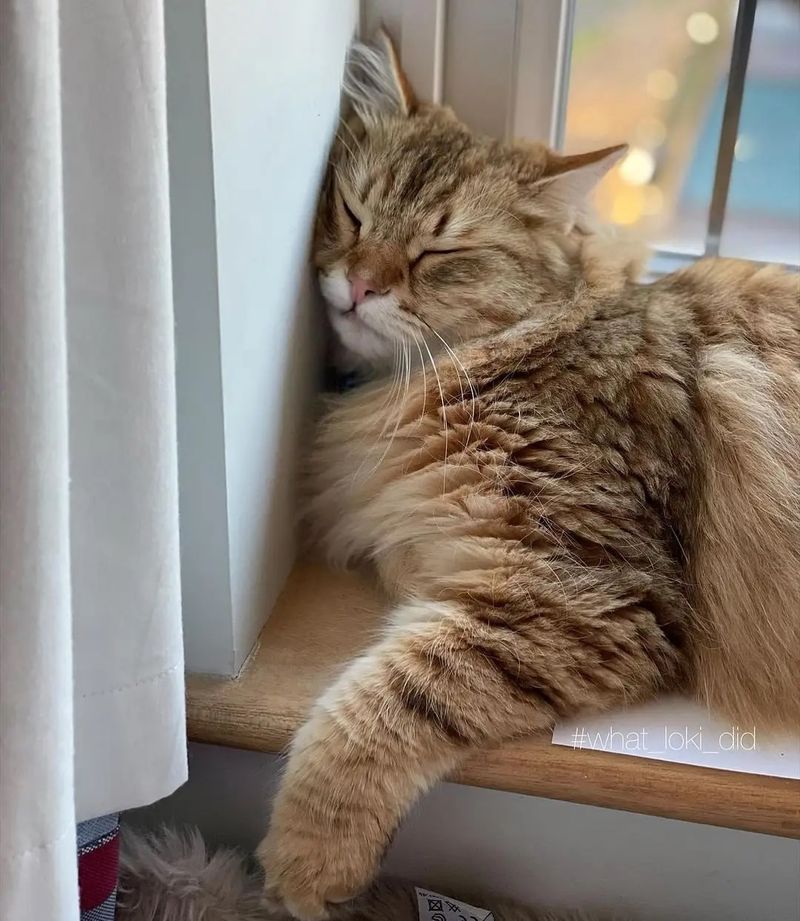 Sleeping In Odd Places