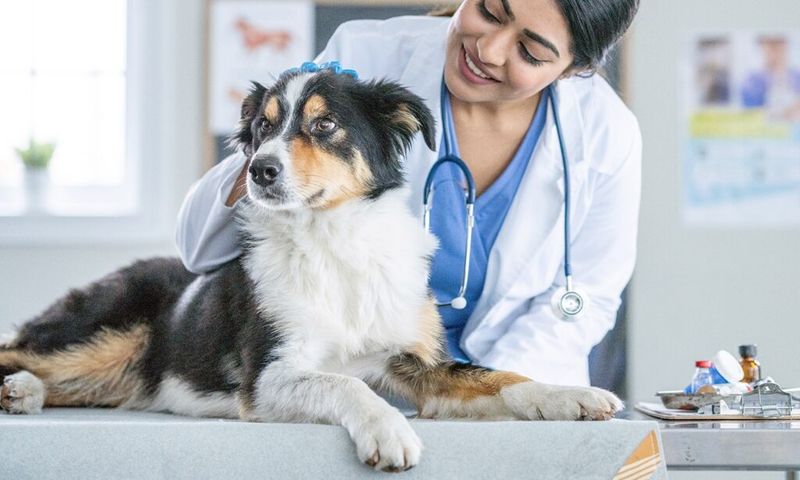 Preventative Health Care