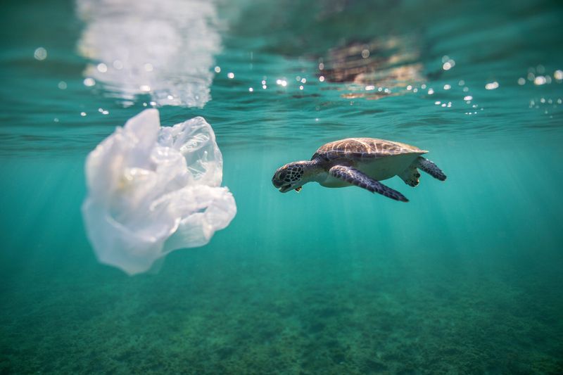 Plastic Peril