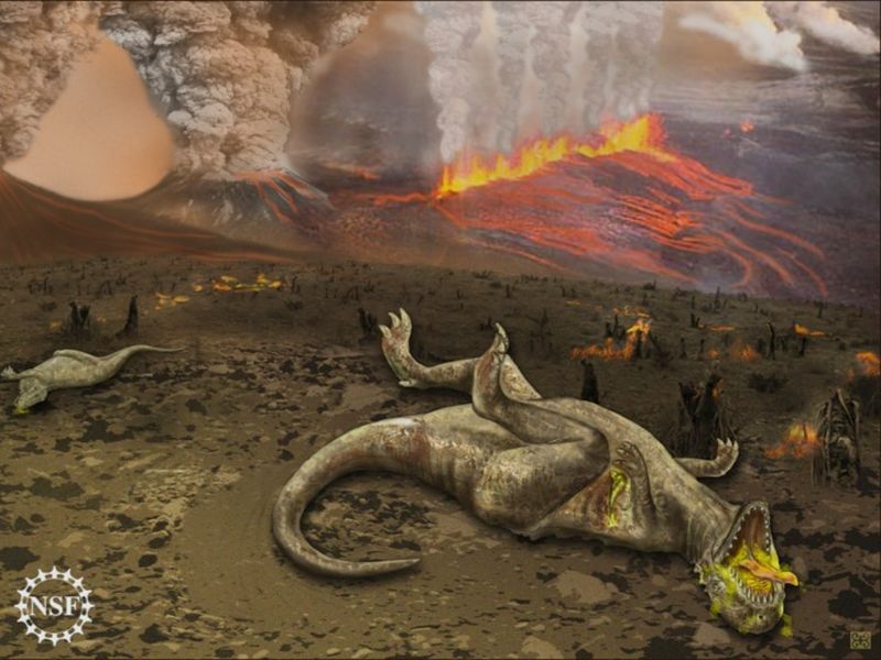 Volcanic Eruptions Shaped Evolutionary Pressure