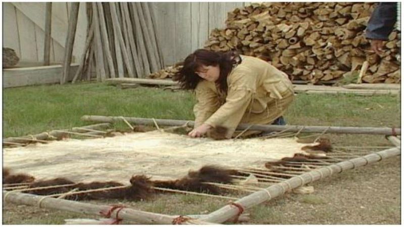 Utilization Of Bison Hides