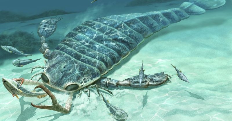 The Sea Scorpion Nightmare