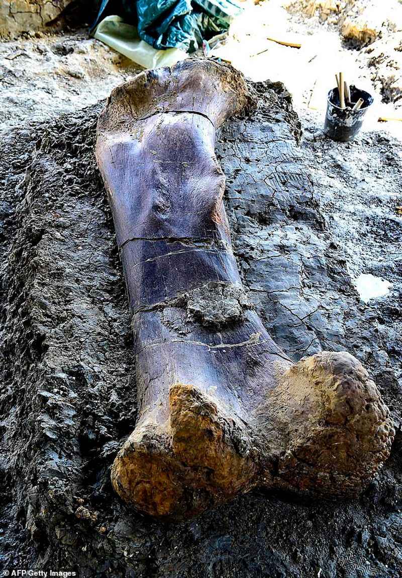 The Book Of Giants And Ancient Beasts