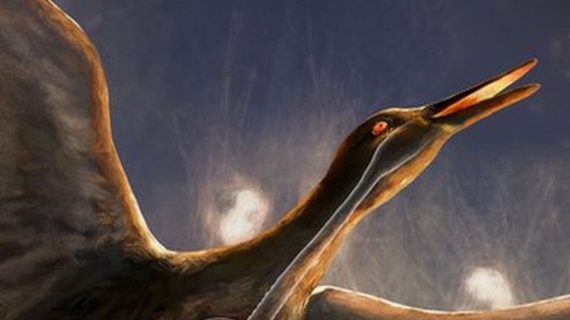 What Vegavis Iai Reveals About The Origins Of Avian Species
