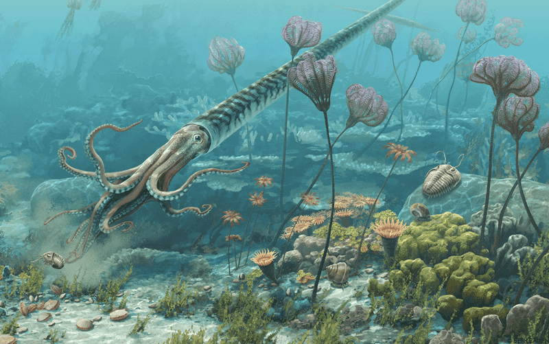 How Ancient Squids Dominated The Oceans During The Cretaceous Period
