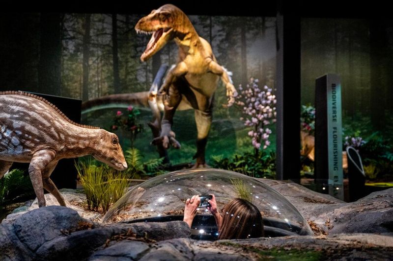 The Park Offers A Glimpse Into Life Before And After The Impact