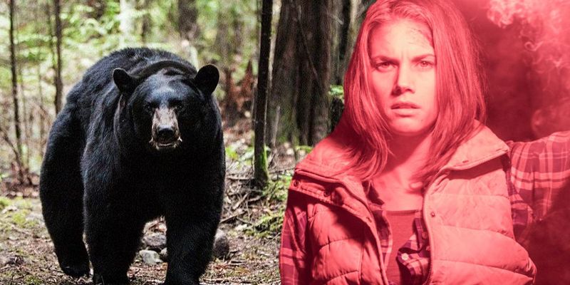 Backcountry (2014)