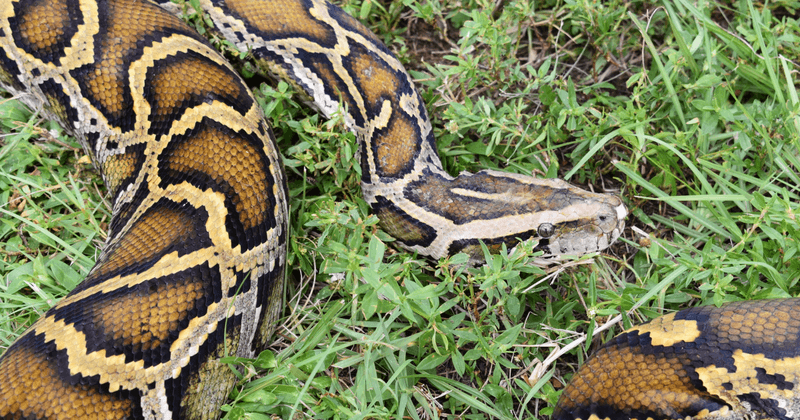 Collaborative Conservation Victory