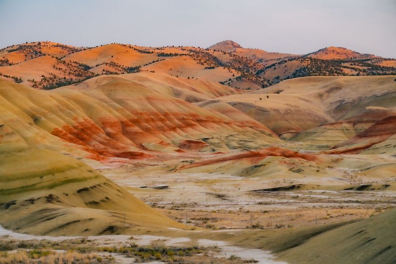 Where To Find Scorpions In Oregon's Desert Regions