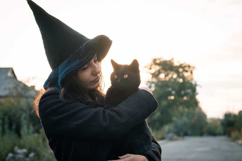 Witches' Familiars Myth