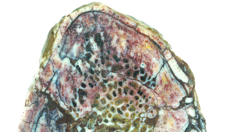 Synchrotron X-Ray Technology, Key To Unlocking Dinosaur Fossil Secrets