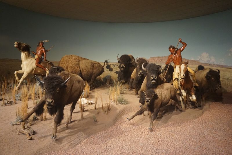 Bison And Native American Warfare