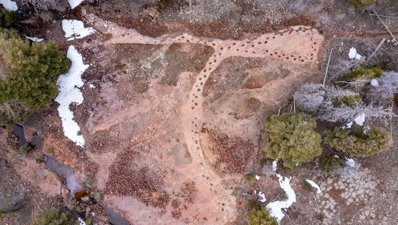 What This Discovery Means For Paleontological Research And Conservation