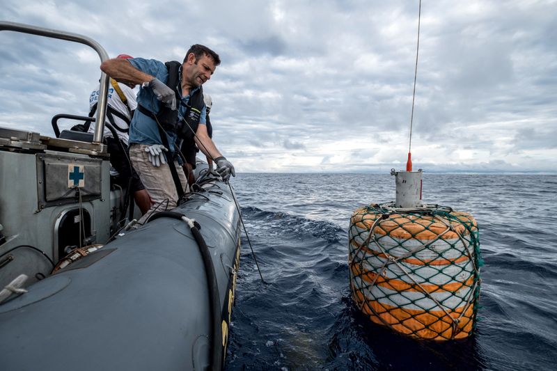 How The New Database Enhances Marine Research