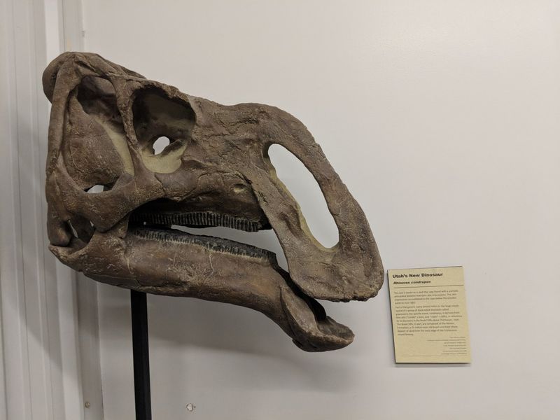 A Recent Discovery With Ancient Roots