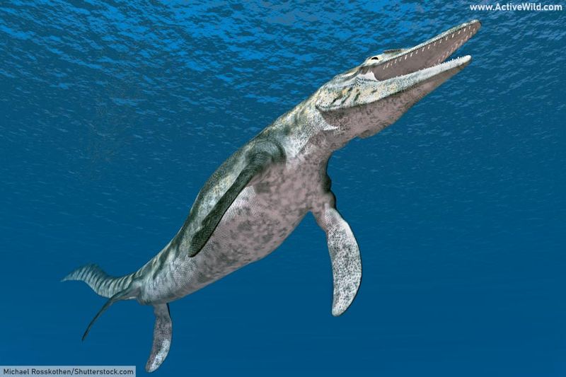 The Reproductive Evolution Insights