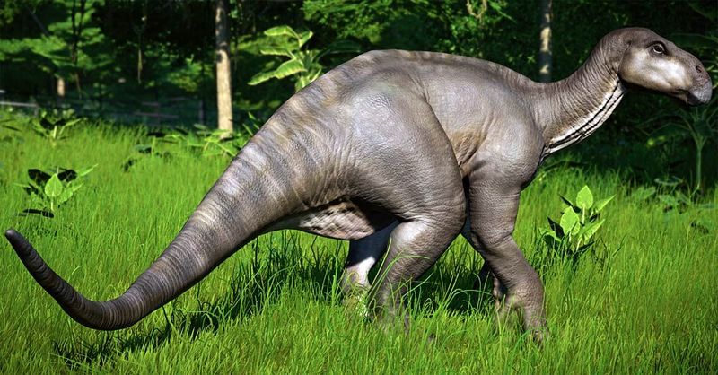 How Iguanodon Challenged Old Beliefs About Dinosaurs