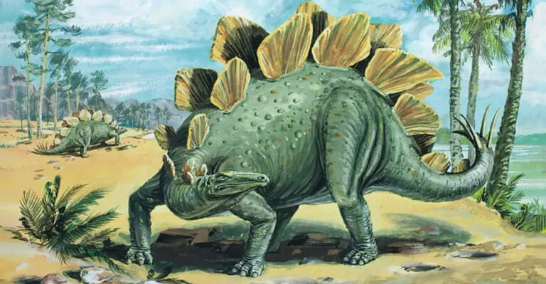 The Most Complete Stegosaurus Skull Ever Discovered Rewrites History