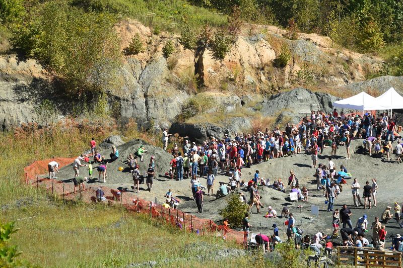 This Fossil Site Blends Scientific Discovery With Natural Wonder