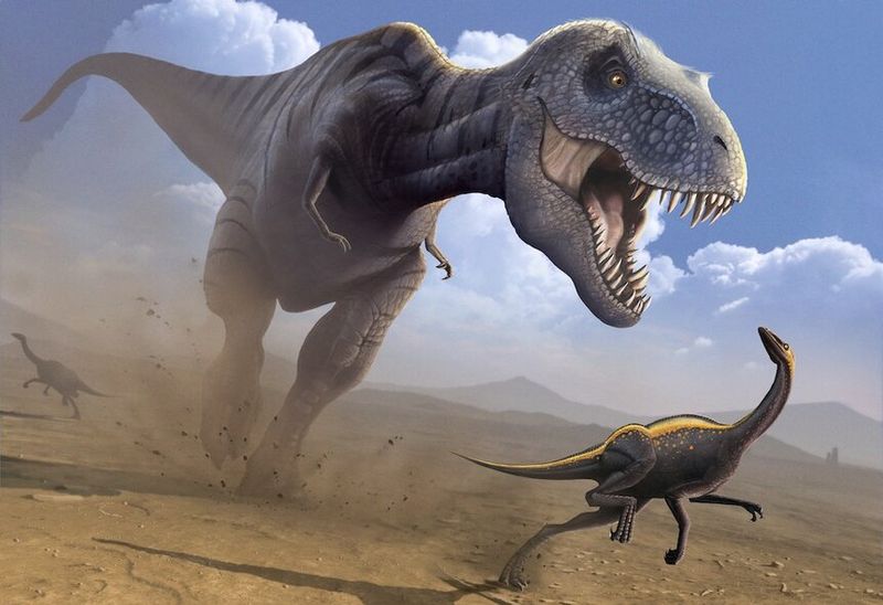 Scientists Rethink The Origins Of The Most Famous Dinosaur