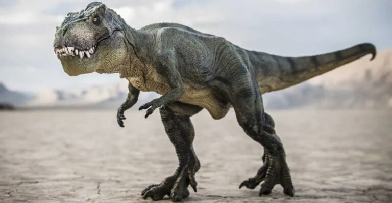 The Mystery Of T. Rex’s North American Origins Has Finally Been Revealed