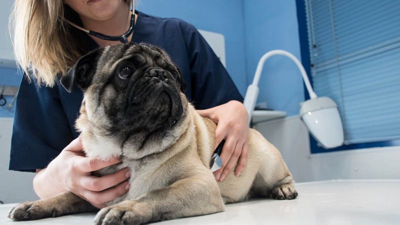 Prepare For Surprising Medical Expenses