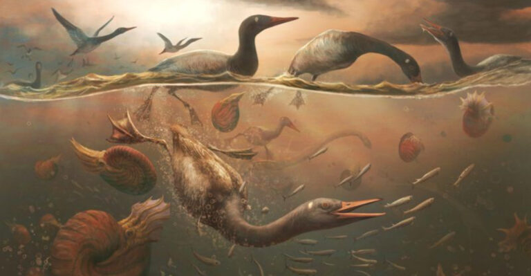 The Oldest Modern Bird Linked To Ancient Antarctica