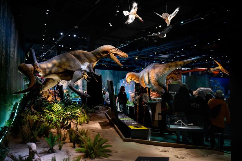 The Museum Highlights The Link Between Extinction And Climate Change