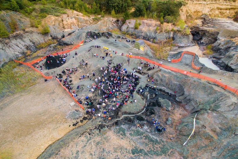 Visitors Can Search For Dinosaur Bones In This South Jersey Quarry