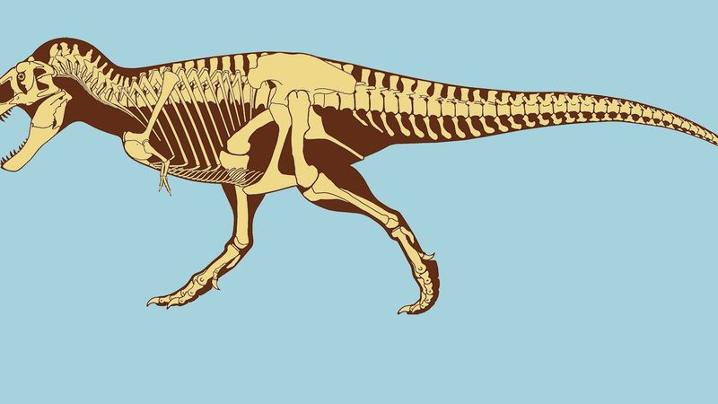 What This Discovery Means For The Future Of Paleontological Research