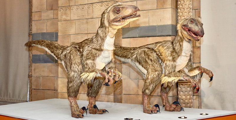 The Tree Traces Birds Back To Dinosaur Ancestors