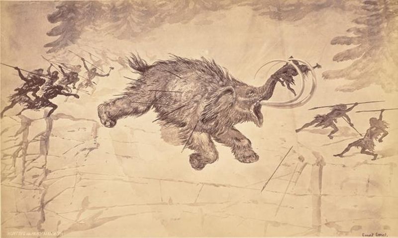 Evidence Supporting Active Hunting Over Scavenging Practices