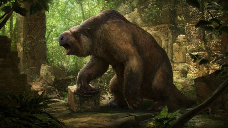 Theories Behind The Extinction Of Giant Ground Sloths