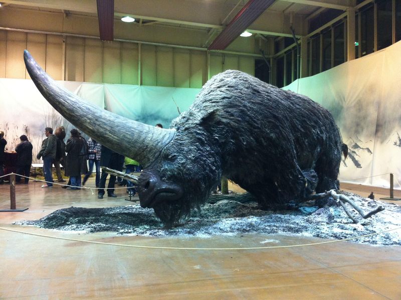 Why Elasmotherium Went Extinct