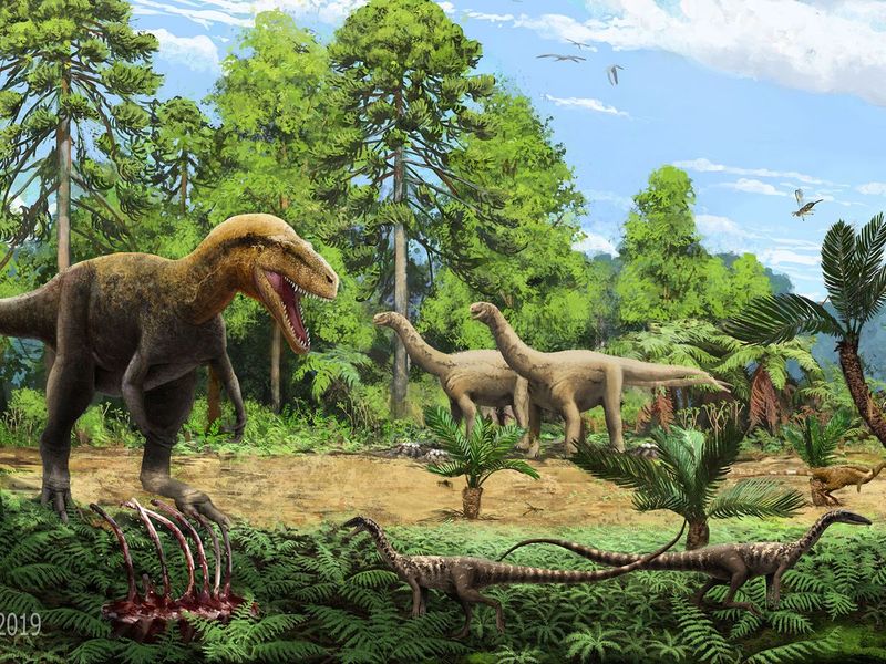 What This Discovery Reveals About Early Life Before The Extinction Event