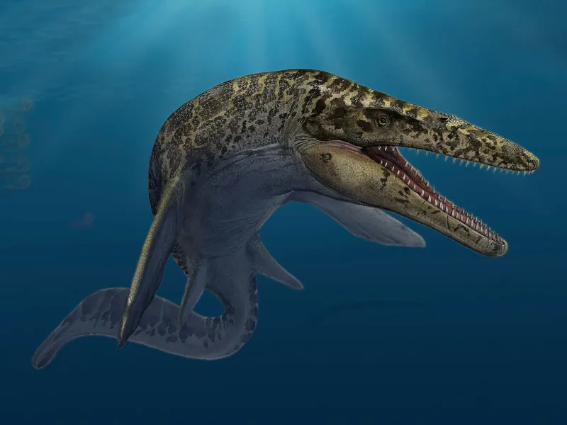 The Mysterious Mosasaur Connection